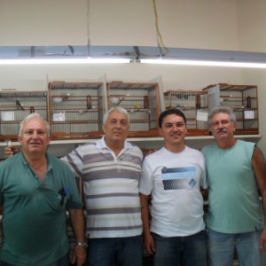 Criadouro Elite do Curió