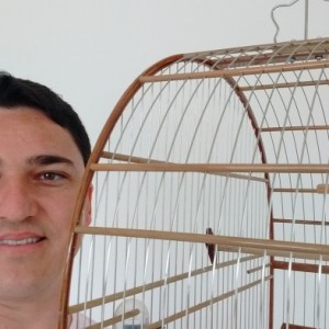 Criadouro Elite do Curió