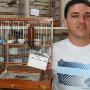 Criadouro Elite do Curió